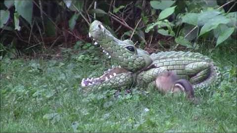 Audio Visual Catnip August 2017