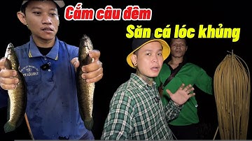 Đi cắm câu đêm săn cá lóc khủng may mắn khi dính được cá lóc hiếm ở miền tây