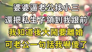 婆婆逼老公找小三，還把私生子領到我跟前，我知道後大鬧要離婚，可老公一句話我徹底傻眼【翠花的秘密】