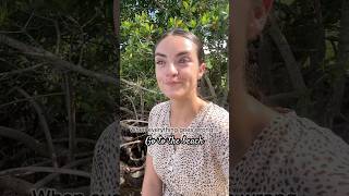 When Everything Goes Wrong, Go to the Ocean 🌊 #shorts #beach #florida