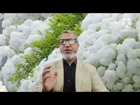 ألا تستنصر لنا ألا تدعو لنا يا رسول الله حديث الجمعة رقم 185
