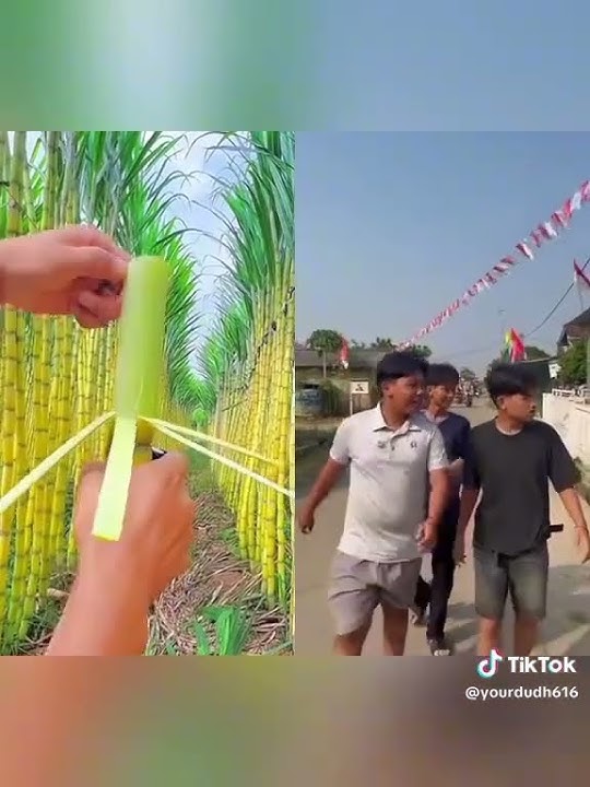 Ompet visual