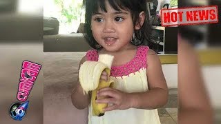 Hot News! Habis Makan Pisang, Vania Langsung Joget - Cumicam 06 Mei 2018