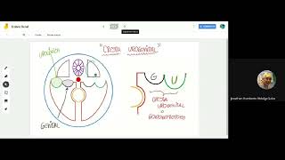 Embriología Renal