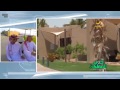 شاليهات النورس في شرما للايجار اليومي شاهد على الإنترنت مجانا وتحميل فيديو مجاني