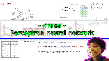 Perceptron (คำนวณ)