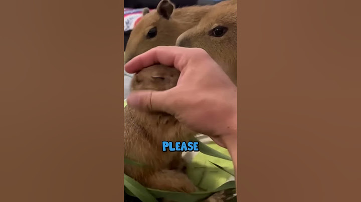 How to Properly Eat a Prairie Dog @TheUrbanRescueRanch