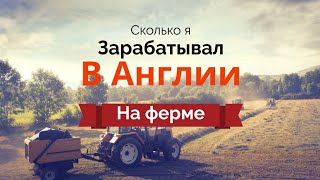 Сколько зарабатывают на ферме в Англии? Как выводить деньги из Англии в Россию...