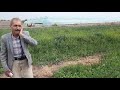 سلطانی درکهنوج