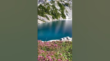 قران كريم ( الذين يقولون ربنا إننا آمنا فاغفر لنا ذنوبنا وقنا عذاب النار )