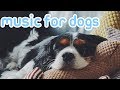 Music to Calm My Dog! Deep Sleep Relaxation Music for Dogs and Puppies!