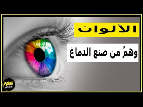 فيديو: الإضاءة أو الرسم الاحتفالي؟ صور من أكاليل النور لورا عادل جونسون (لورا عادل جونسون)