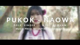 Pukok - Naowa - Ajoy Keisham | Music prod. by Satyajit Athokpam|| audio release