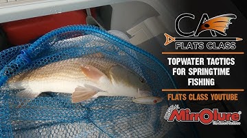 Topwater Tactics For Springtime Fishing - Flats Class YouTube