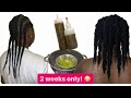 ROSEMARY HAIR GROWTH OIL |  RESULTS IN 2 WEEKS. DON’T TRY THIS IF YOU’RE NOT READY FOR GROWTH.