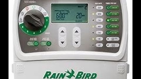 Rainbird