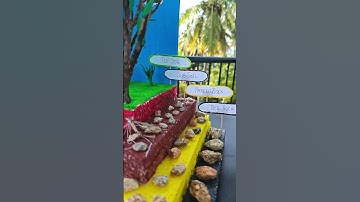 Project Of Soil Layers | Soil Profile Model | Layers Of Soil Project Model