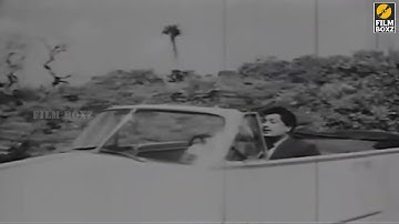 Dharmam Thalai Kaakum Video Song Tamil | MGR | Saroja Devi | TMS | KVM | Kannadasan