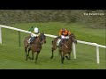 2023 BOODLES CHELTENHAM GOLD CUP CONTENDERS