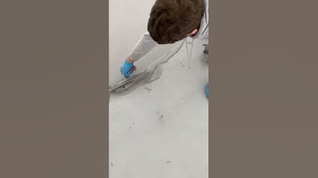 Microcement like a Pro
