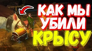 :   10.000     - Royal Quest