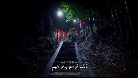 محمد الحيدان // تلاوة هادئة