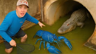 I Found A Sewer Filled With Monsters