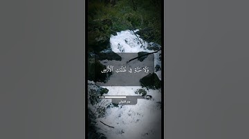 سورة الأنعام - آية 59 | بدر التركي | بصوت هادئ وجميل - قرآن كريم