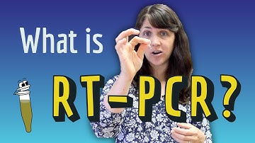 What is RT-PCR? (Real-Time PCR & Reverse Transcription PCR)