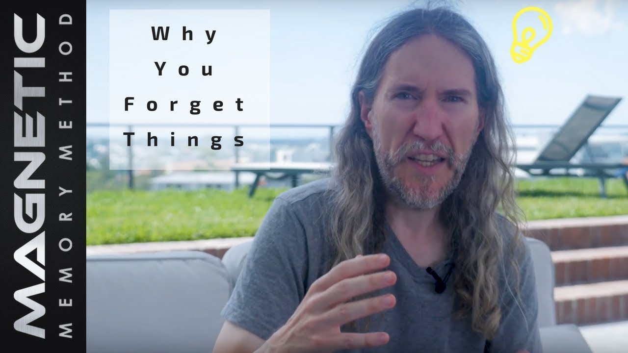Why you forget things - YouTube