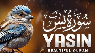 Most Beautiful Surah Yaseen(Yasin) | سورۃ یٰسٓ  | Arabic Subtitle