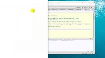 25 Python网络爬虫丨05 爬虫进阶丨20 selenium使用代理ip