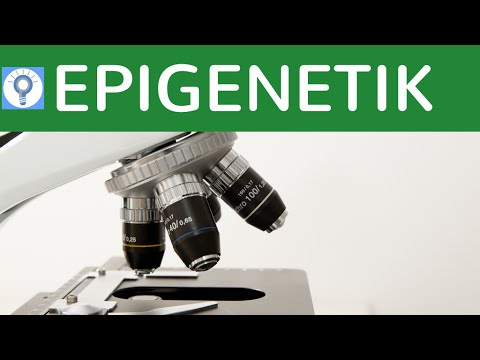 Video: Epigenetik Und Generationsübergreifende Vererbung Bei Domestizierten Nutztieren