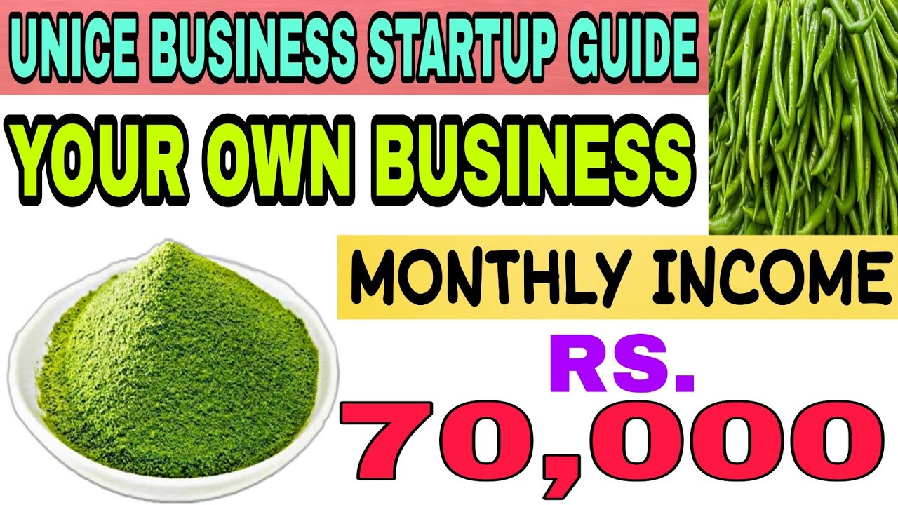 green chilli powder business plan