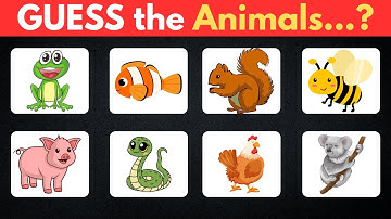 Guess 100 Animals in 5 Seconds | Learn with Zeekidzedia