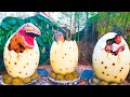 Found a real GIANT DINOSAUR EGG. A baby dinosaur has lost its mother #viral #video #dinosaurs #kids