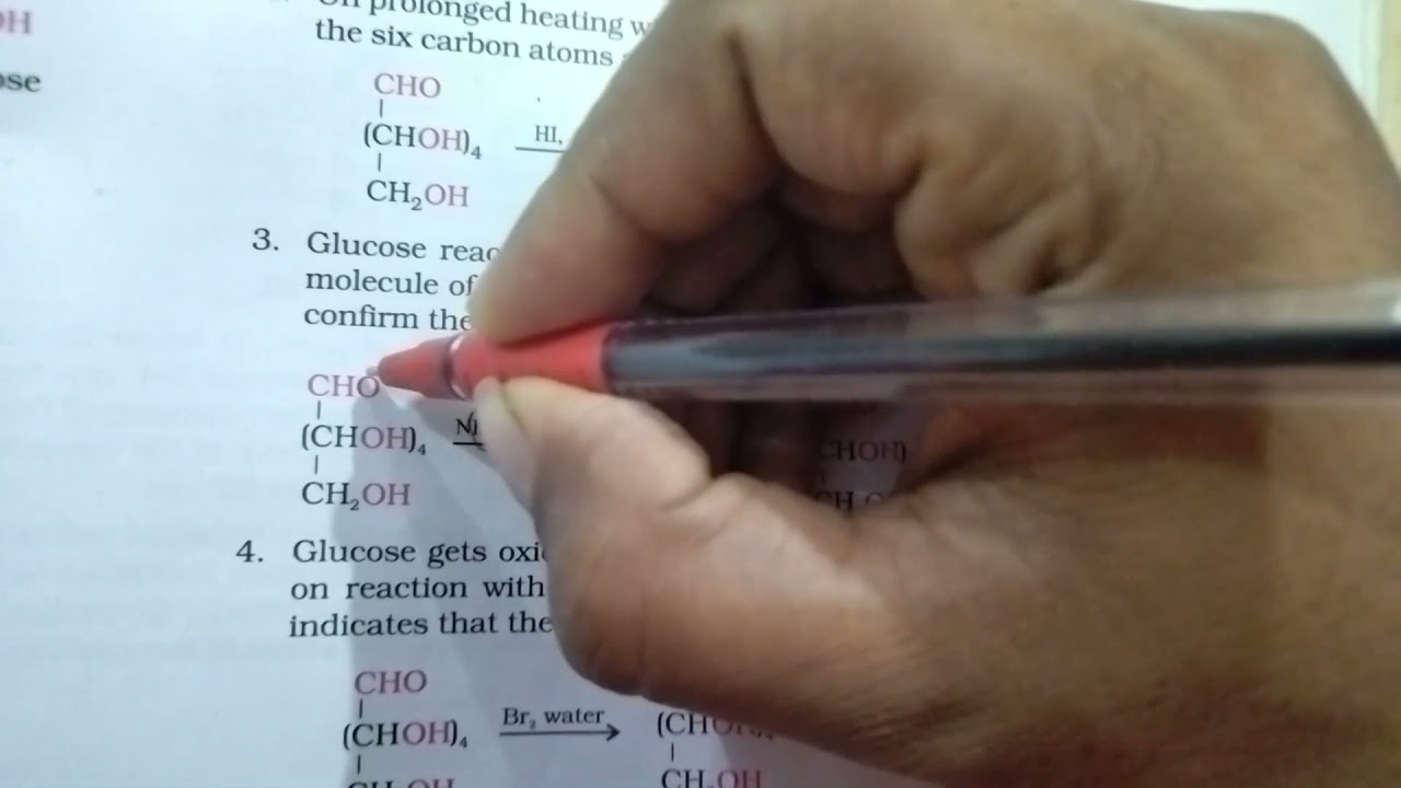 CBSE CLASS 12 CHEMISTRY chapter BIOMOLECULES PART 1 MALAYALAM