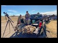 Thermal Coyote Hunting with Pulsar Thermion XP50