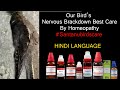 Birds nervous breakdown full info by santanubirdscare  homeopathy care