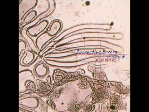 P-MODEL - 11th Fact - YouTube