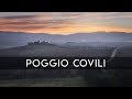 Alba PAZZESCA in Val d'Orcia | Nebbia e grandi colori a POGGIO COVILI | Landscape Photography Vlog