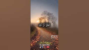 تلاوة سعد الغامدي من سورة الحديد صوت جميل