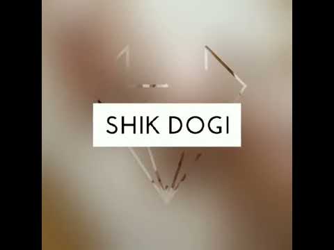 SHIK DOGI DOG, FCI-Kennel of BULLDOGS \u0026 POMERANIANS!
