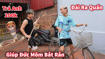 Hậu Cáo - Giúp Đức Mõm Bắt Rắn Trong Nhà Cười Đau Ruột