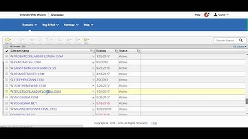 How to Set the DNS Nameserver using Orlando Web Wizard