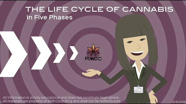 Metrc Seed-to-Sale Plant Tag to Package Tag  Lifecycle