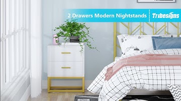 Tribesigns Modern Night Stand for Bedrooms, 2 Drawer Nightstands Sofa End Table XK00156