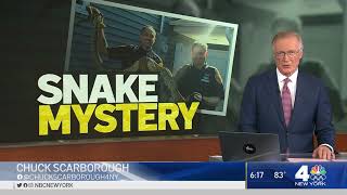 Celebrity Homeowner Reacts After Finding 8-Foot Snake in Her Driveway | NBC New York Profile