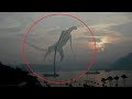 कैमरे में कैद 5 रहस्यमयी जीव | 5 Mysterious Creatures Caught on Camera