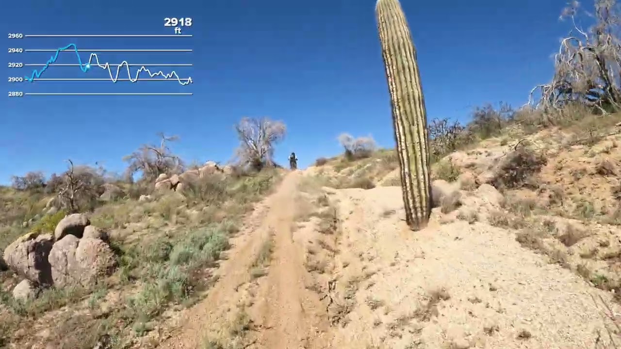 Moto Vacation Day 2-Single Track